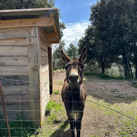 N2 Maison T2 Climatise Lägenhet